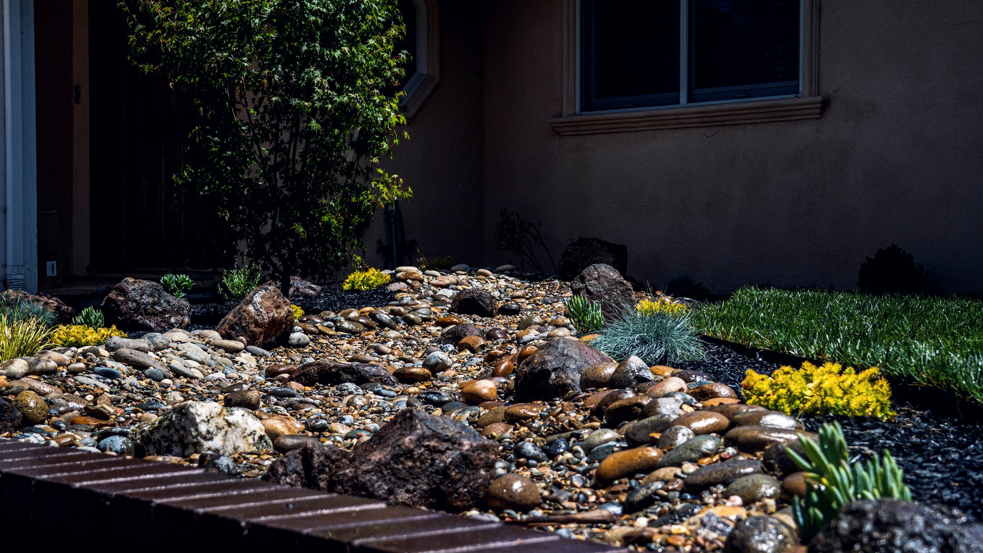 Landscape crew installing sod rolls and plantings in a front yard